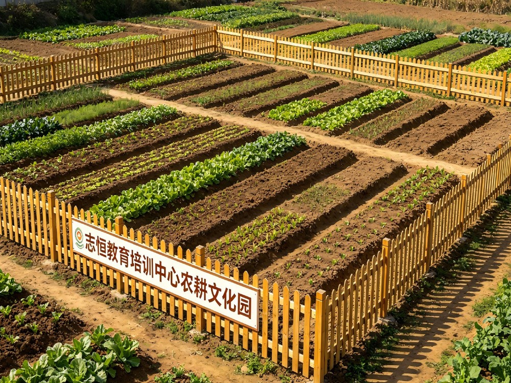 达州比较好的孩子叛逆期管教学校具体位置在哪